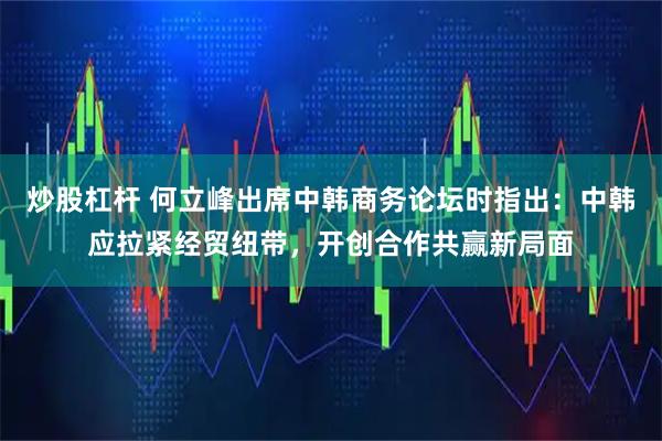 炒股杠杆 何立峰出席中韩商务论坛时指出：中韩应拉紧经贸纽带，开创合作共赢新局面