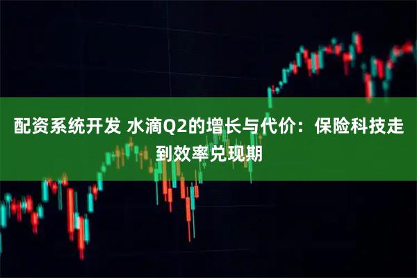 配资系统开发 水滴Q2的增长与代价：保险科技走到效率兑现期